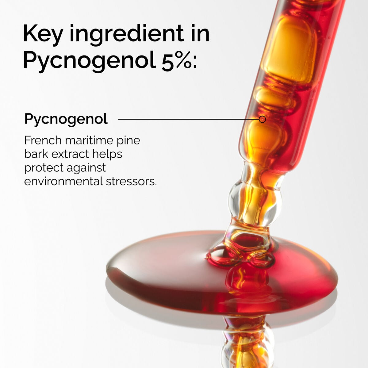pycnogenol-5-l2 FY25-D41247-ORD-Web-PDP-Pyc-5pct-1x1-EN-2a.jpg